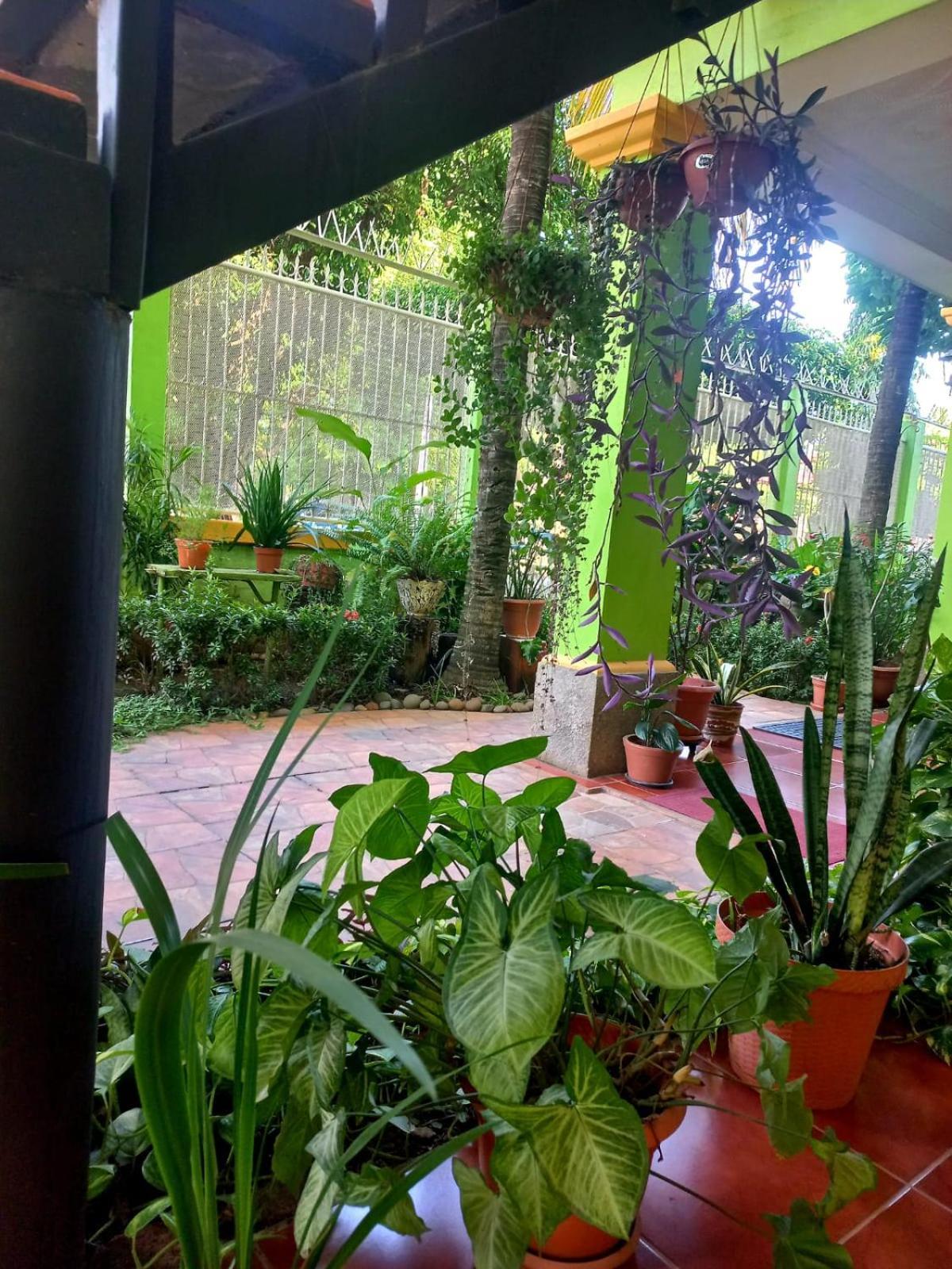 Hostal San Antonio Леон Екстер'єр фото